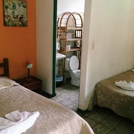 Albergue de Montaña Talari San Isidro De El General Habitación foto